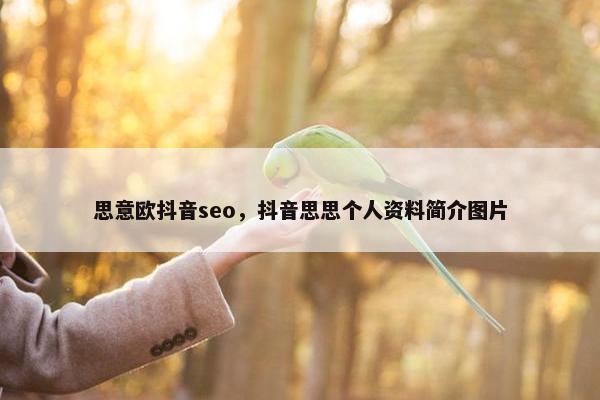 思意欧抖音seo，抖音思思个人资料简介图片