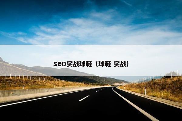 SEO实战球鞋（球鞋 实战）