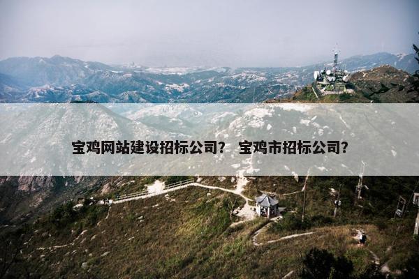 宝鸡网站建设招标公司？ 宝鸡市招标公司？