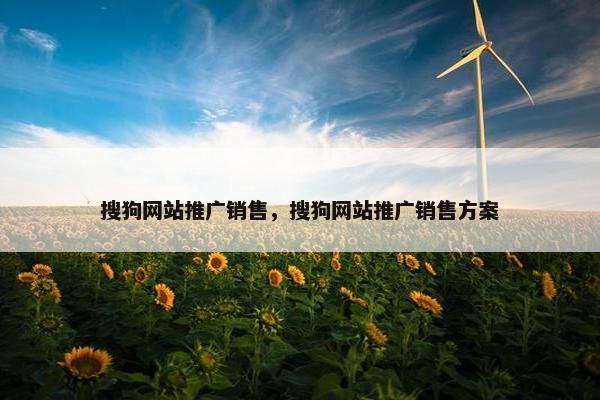 搜狗网站推广销售，搜狗网站推广销售方案