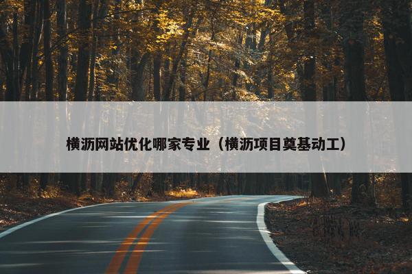 横沥网站优化哪家专业（横沥项目奠基动工）