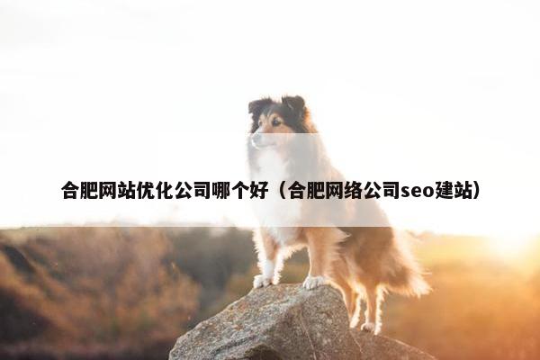 合肥网站优化公司哪个好（合肥网络公司seo建站）