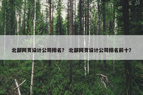 北部网页设计公司排名？ 北部网页设计公司排名前十？