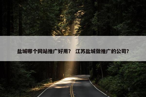 盐城哪个网站推广好用？ 江苏盐城做推广的公司？