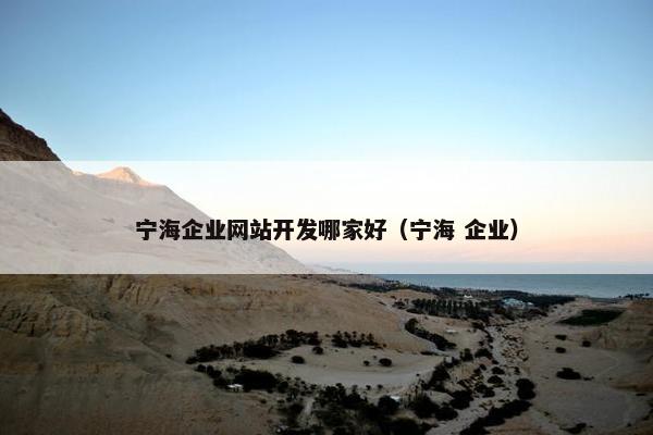 宁海企业网站开发哪家好（宁海 企业）