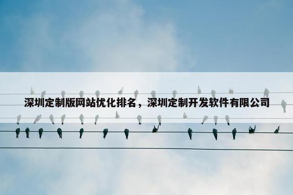 深圳定制版网站优化排名，深圳定制开发软件有限公司