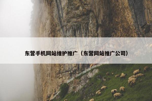 东营手机网站维护推广（东营网站推广公司）
