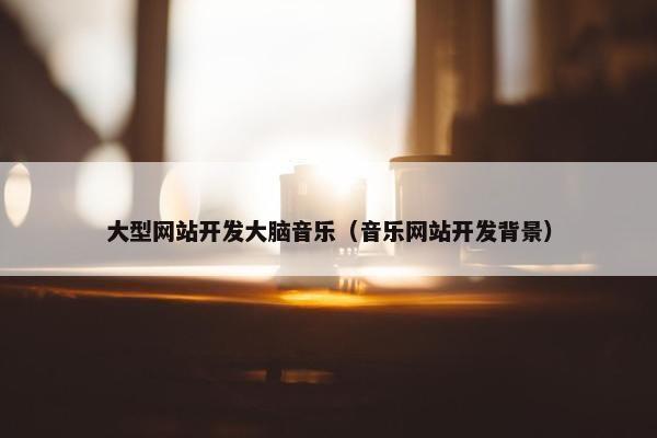 大型网站开发大脑音乐（音乐网站开发背景）