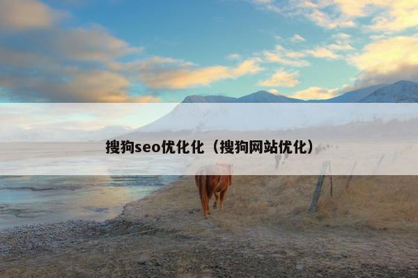 搜狗seo优化化（搜狗网站优化）