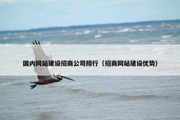 国内网站建设招商公司排行（招商网站建设优势）