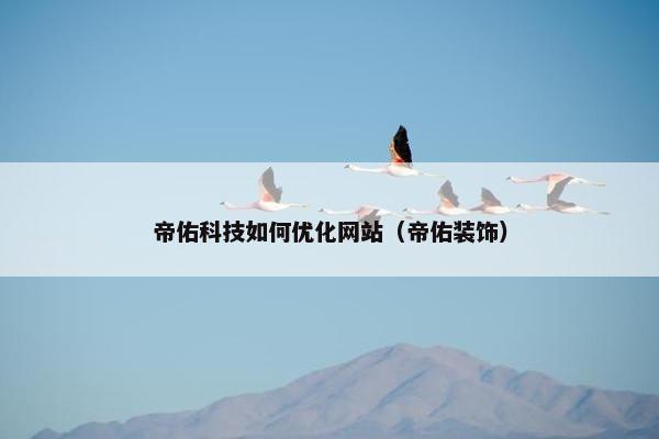 帝佑科技如何优化网站（帝佑装饰）