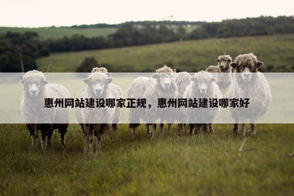 惠州网站建设哪家正规，惠州网站建设哪家好