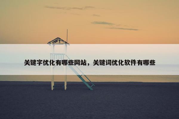 关键字优化有哪些网站，关键词优化软件有哪些