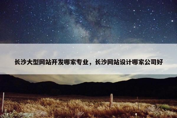 长沙大型网站开发哪家专业，长沙网站设计哪家公司好