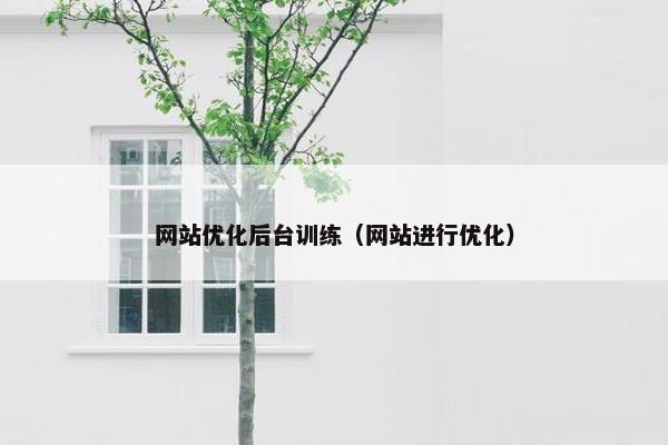 网站优化后台训练（网站进行优化）