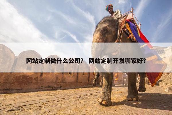 网站定制做什么公司？ 网站定制开发哪家好？