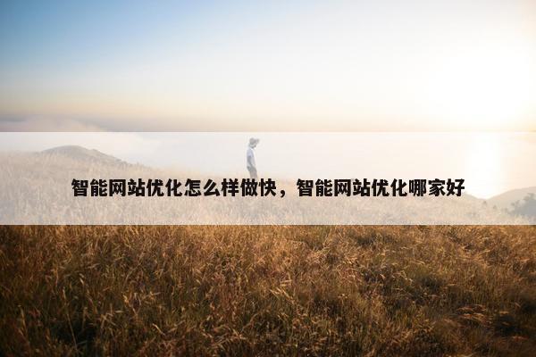 智能网站优化怎么样做快，智能网站优化哪家好