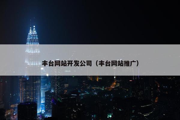 丰台网站开发公司（丰台网站推广）