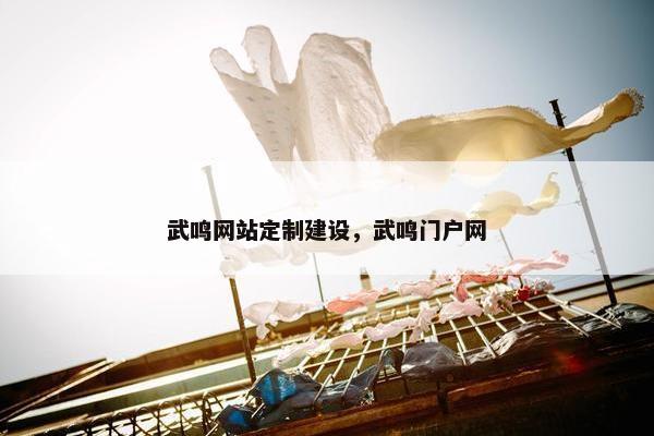 武鸣网站定制建设，武鸣门户网