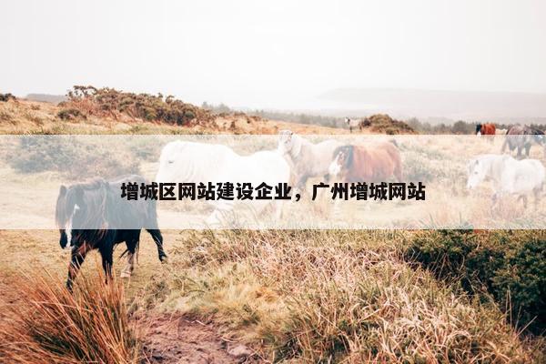 增城区网站建设企业，广州增城网站