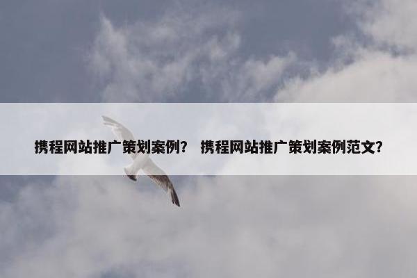 携程网站推广策划案例？ 携程网站推广策划案例范文？