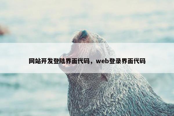 网站开发登陆界面代码，web登录界面代码