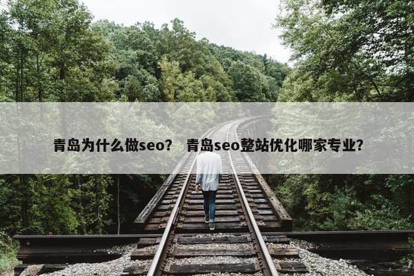 青岛为什么做seo？ 青岛seo整站优化哪家专业？