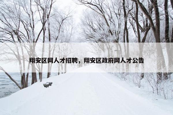 翔安区网人才招聘，翔安区政府网人才公告