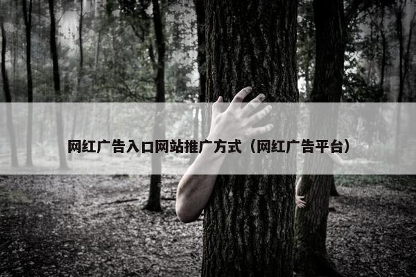 网红广告入口网站推广方式（网红广告平台）