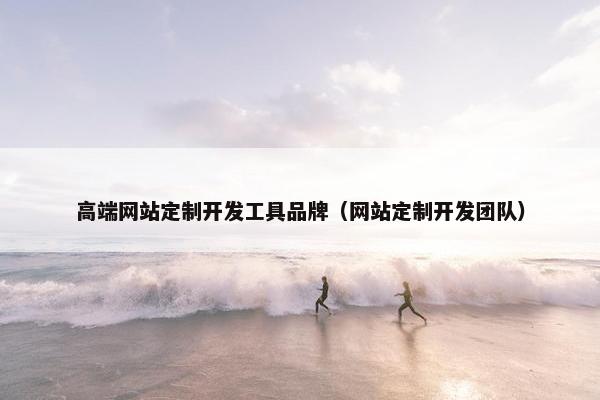 高端网站定制开发工具品牌（网站定制开发团队）