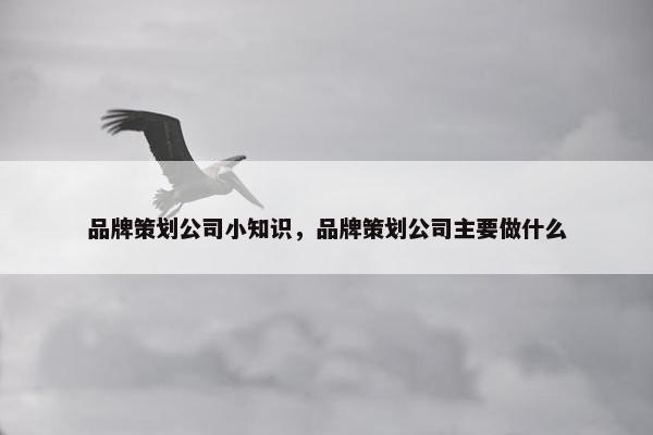 品牌策划公司小知识，品牌策划公司主要做什么