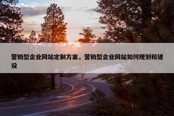 营销型企业网站定制方案，营销型企业网站如何规划和建设