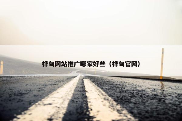 桦甸网站推广哪家好些（桦甸官网）