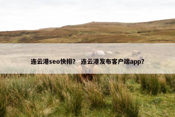连云港seo快排？ 连云港发布客户端app？