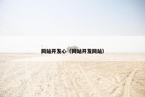 网站开发心（网站开发网站）