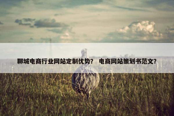 聊城电商行业网站定制优势？ 电商网站策划书范文？