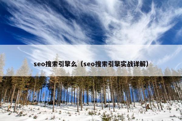 seo搜索引擎么（seo搜索引擎实战详解）