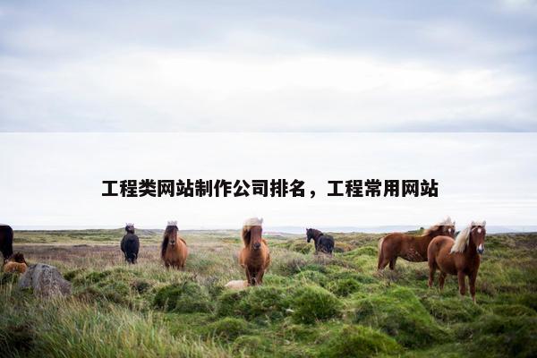 工程类网站制作公司排名，工程常用网站