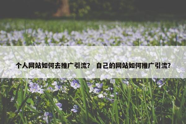 个人网站如何去推广引流？ 自己的网站如何推广引流？
