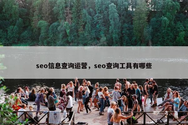 seo信息查询运营，seo查询工具有哪些