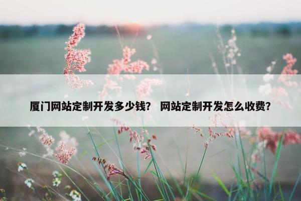 厦门网站定制开发多少钱？ 网站定制开发怎么收费？