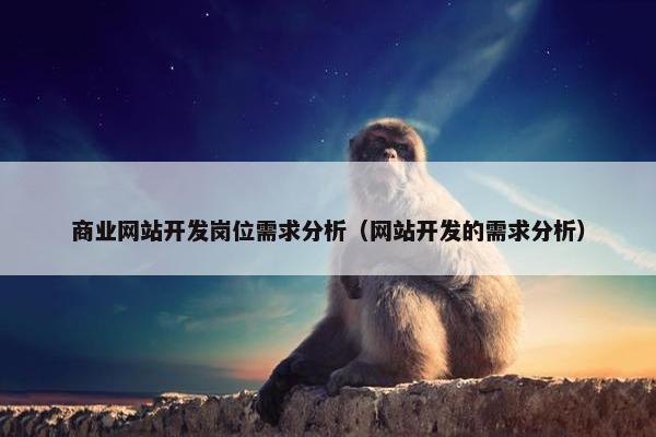 商业网站开发岗位需求分析（网站开发的需求分析）