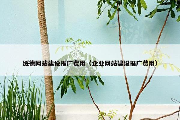 绥德网站建设推广费用（企业网站建设推广费用）