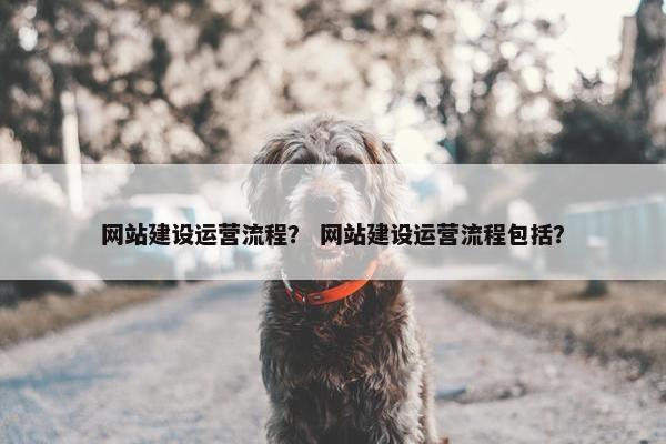 网站建设运营流程？ 网站建设运营流程包括？