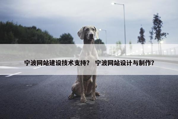 宁波网站建设技术支持？ 宁波网站设计与制作？