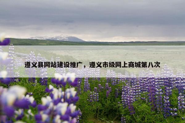 遵义县网站建设推广，遵义市级网上商城第八次