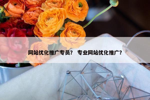 网站优化推广专员？ 专业网站优化推广？