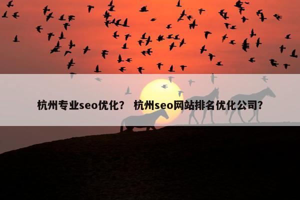 杭州专业seo优化？ 杭州seo网站排名优化公司？