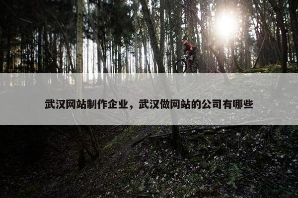 武汉网站制作企业，武汉做网站的公司有哪些