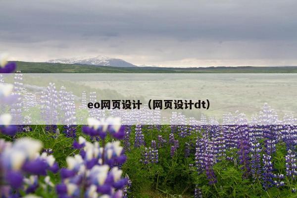 eo网页设计（网页设计dt）
